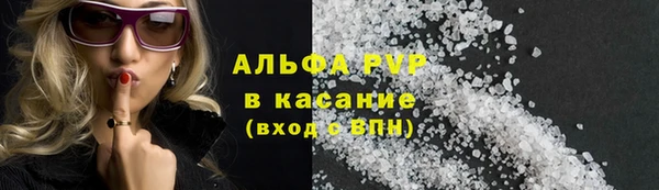 гашик Алексин