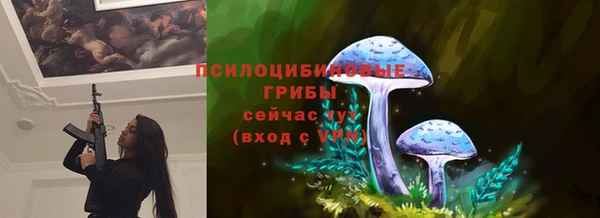гашик Алексин