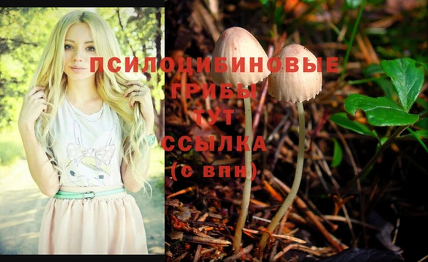 ECSTASY Алзамай