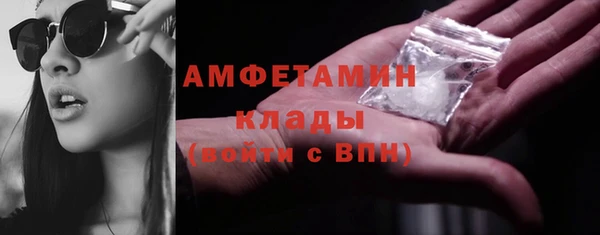 гашик Алексин
