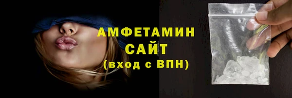 гашик Алексин