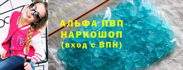 гашик Алексин