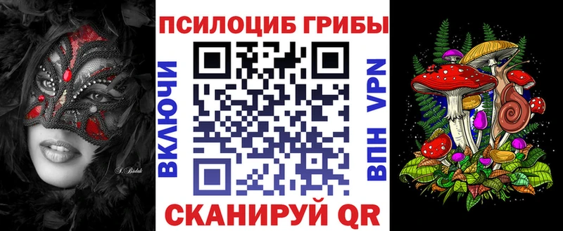 купить наркотики цена Асбест Псилоцибиновые грибы прущие грибы